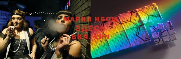 индика Инта