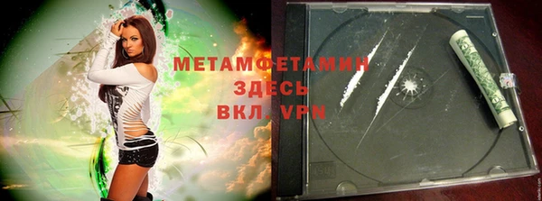 индика Инта