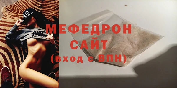 индика Инта