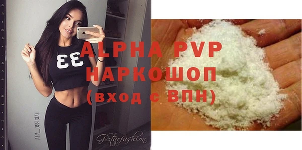 индика Инта