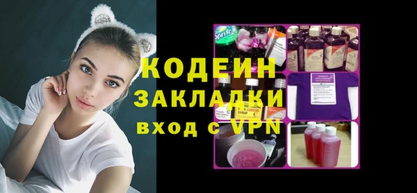 индика Инта
