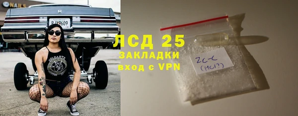 индика Инта