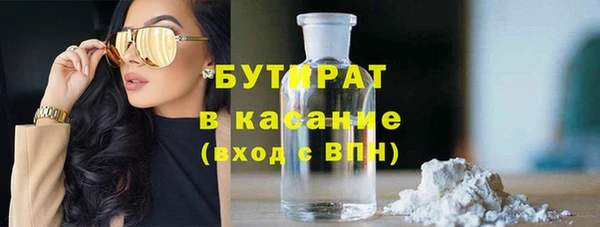 индика Инта