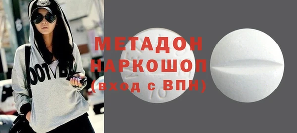индика Инта