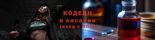 индика Инта