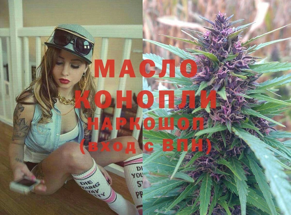 индика Инта