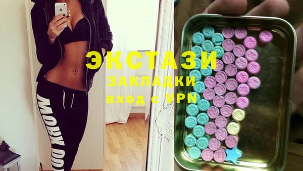 индика Инта