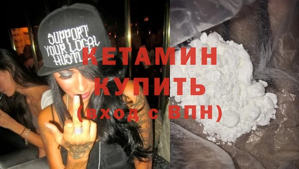 индика Инта