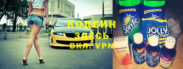 индика Инта