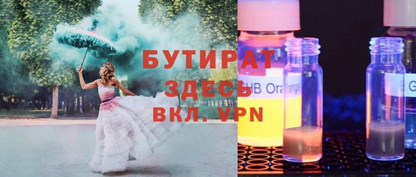 индика Инта