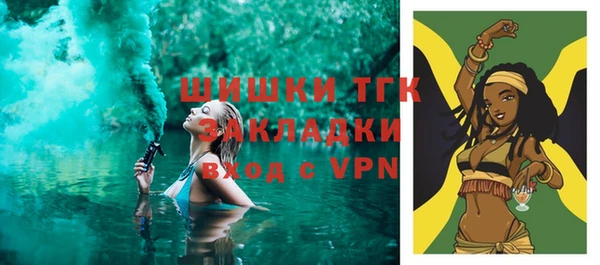 индика Инта